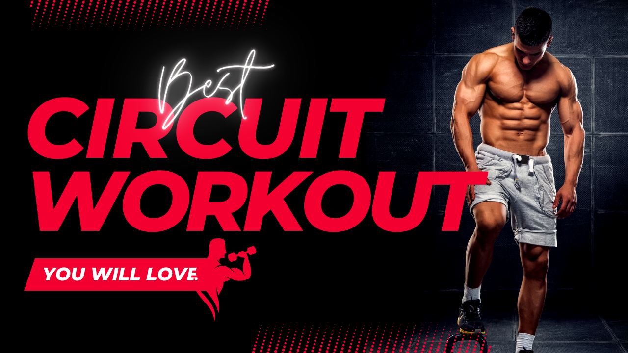 Best Circuit Workout